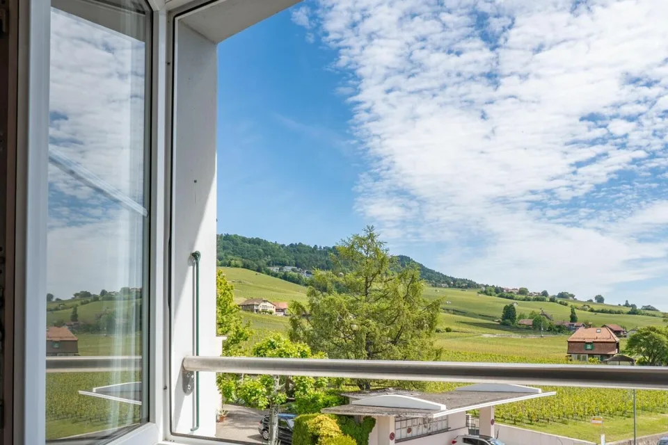 Appartement en attique avec vue lac et vignes