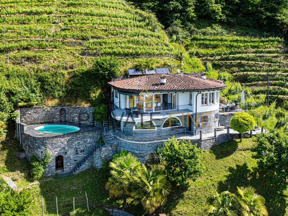 Ferienoase umgeben von Weinbergen, Bergen und See (61)