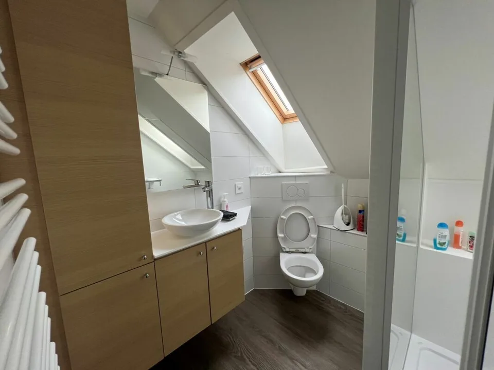 Saint-Blaise - Grande officina con uffici e showroom annessi a una casa di 2 unità abitative – foto 11 di 18