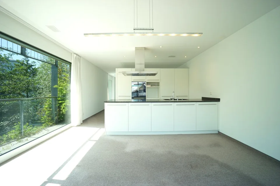 Appartement spacieux 4.5 pièces : oasis verte au bord du ruisseau du village, en plein centre