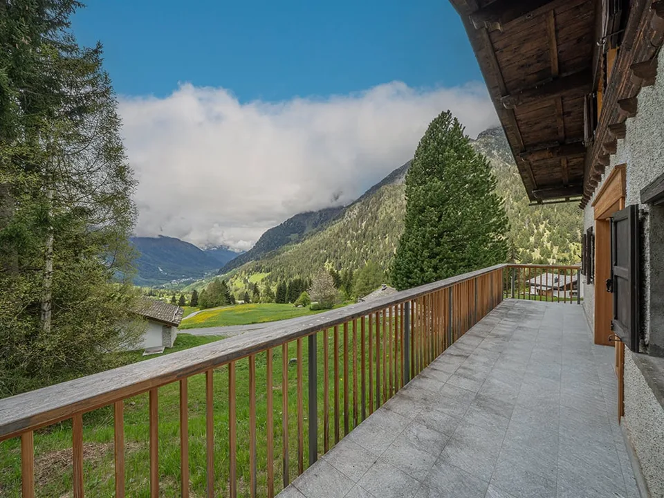 Newly built chalet with wellness comfort