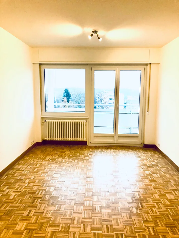 Appartamento ristrutturato con bella vista sul Giura a Meyrin