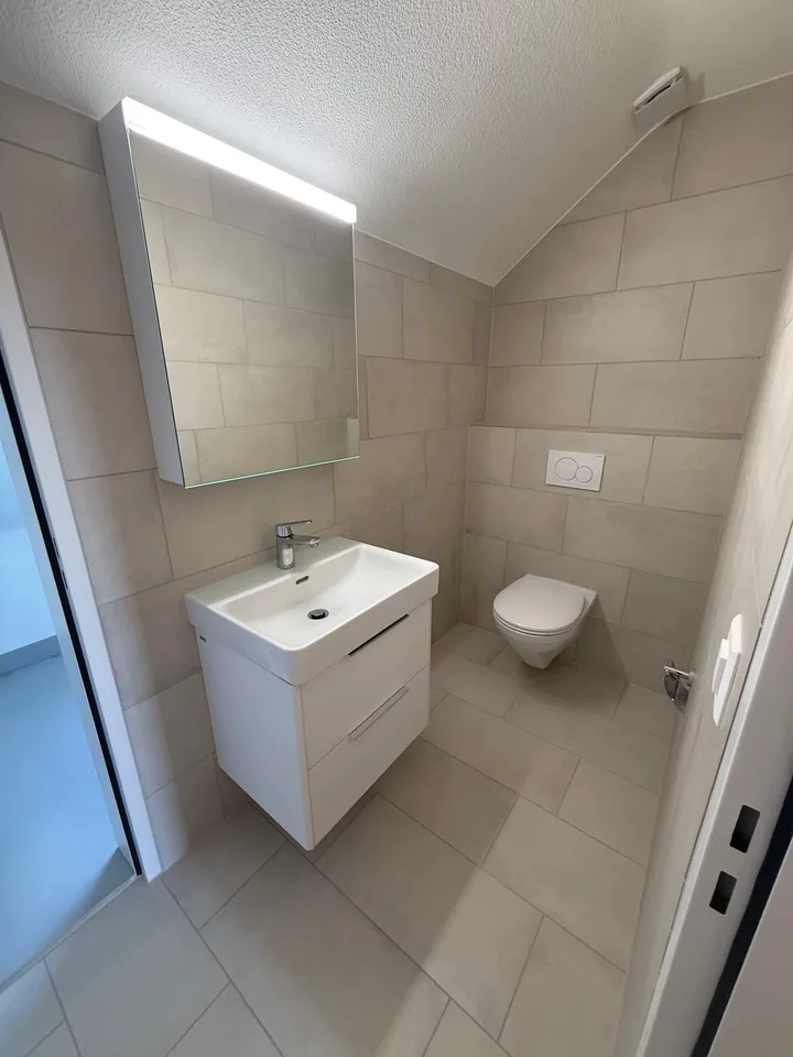 Appartamento attico di 5,5 locali ristrutturato con vista panoramica a Küngoldingen – foto 21 di 35