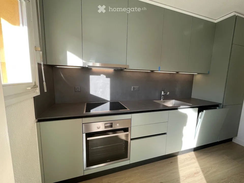 Elegante appartamento 3.5 locali ristrutturato con terrazza e giardino ad Ascona