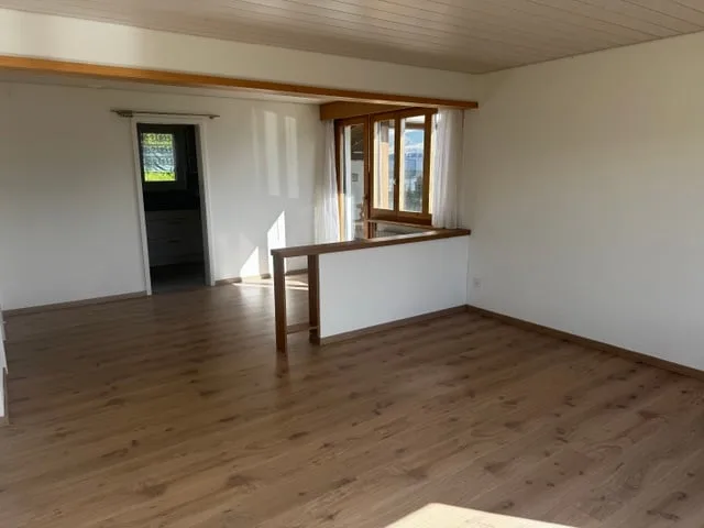 Charmante maison de famille de 5-6 pièces avec vue sur le lac et jardin à Mörigen