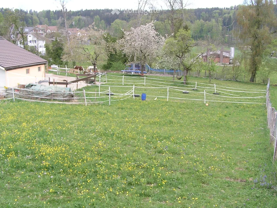 Bauernhaus, Pferdestall, Scheune mit 4000m2 Land