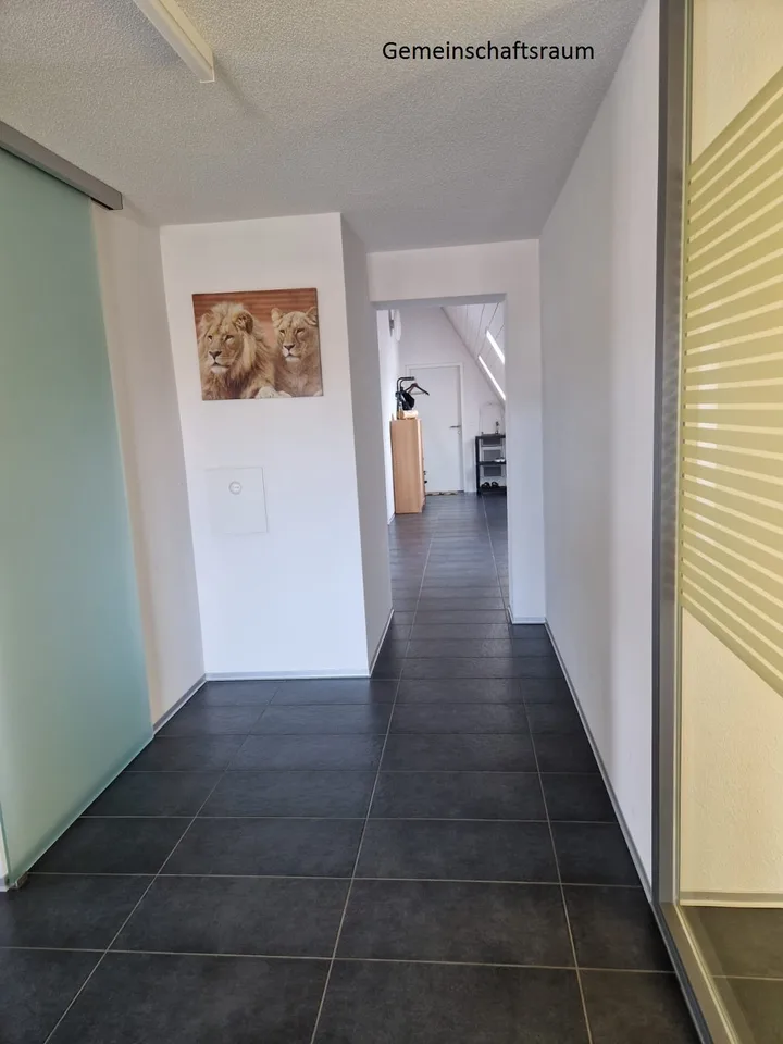 WG-Studios in Düdingen – Foto 8 von 9