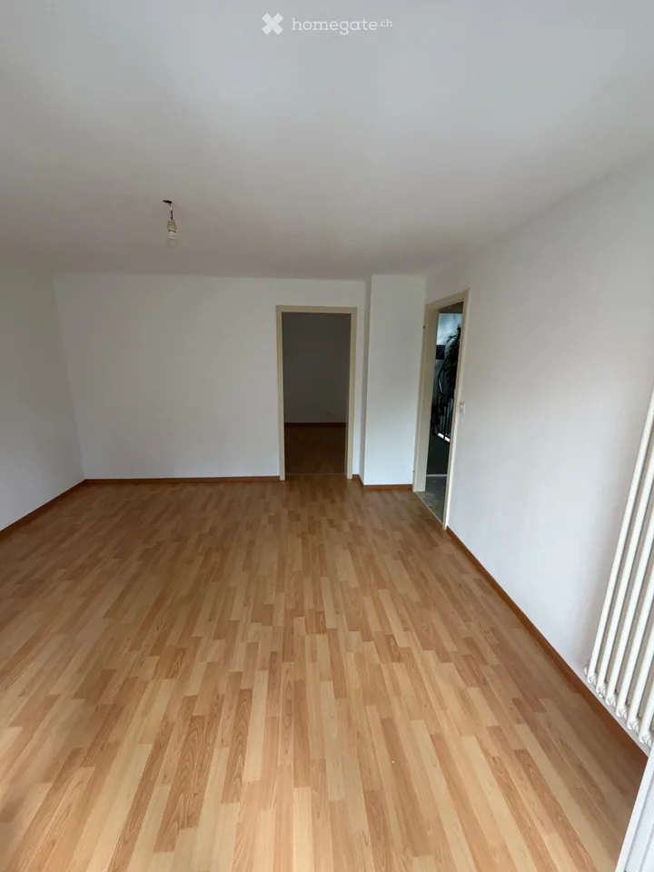 Appartamento di 2 camere in affitto a Grenchen