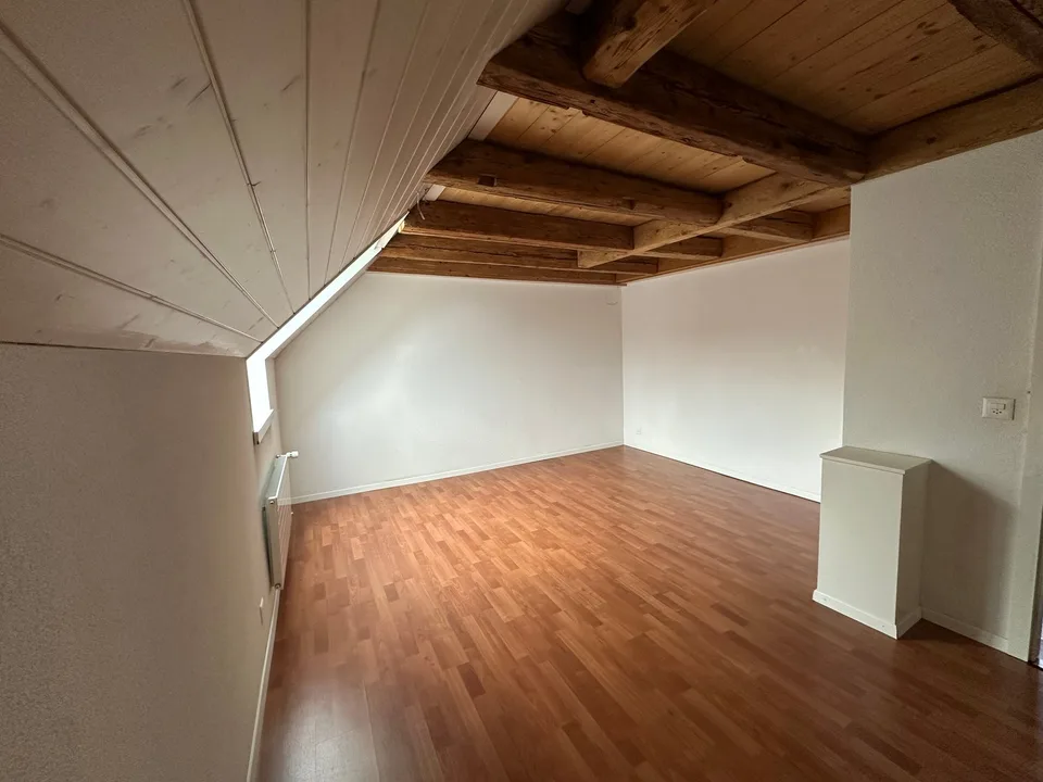 04543 - Spazioso duplex in attico di circa 82m2 (mansardato) - Daniel-Jeanrichard 7 - La Chaux-de-Fonds