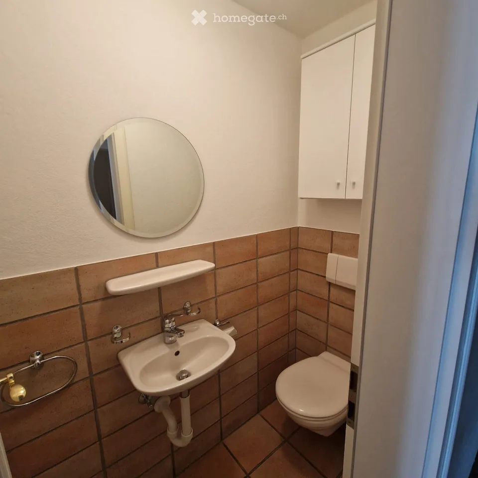 Grosszügige charmante Attikawohnung im Herzen von Olten