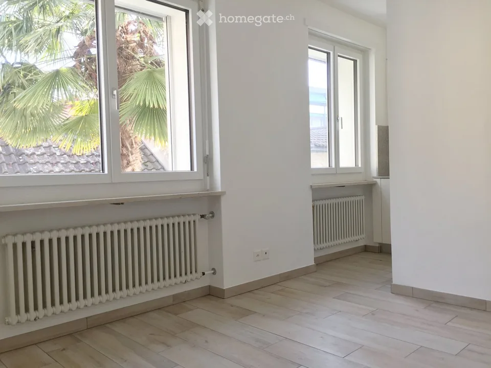 APPARTAMENTO 2 LOCALI A TENERO-LOCARNO incl. spese