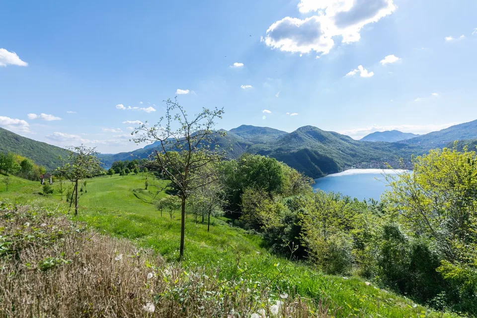 COLLINA D'ORO - AFFITTASI INCANTEVOLE APPARTAMENTO CON GIARDINO PRIVATO E VISTA LAGO (rif. 001) – foto 11 di 19
