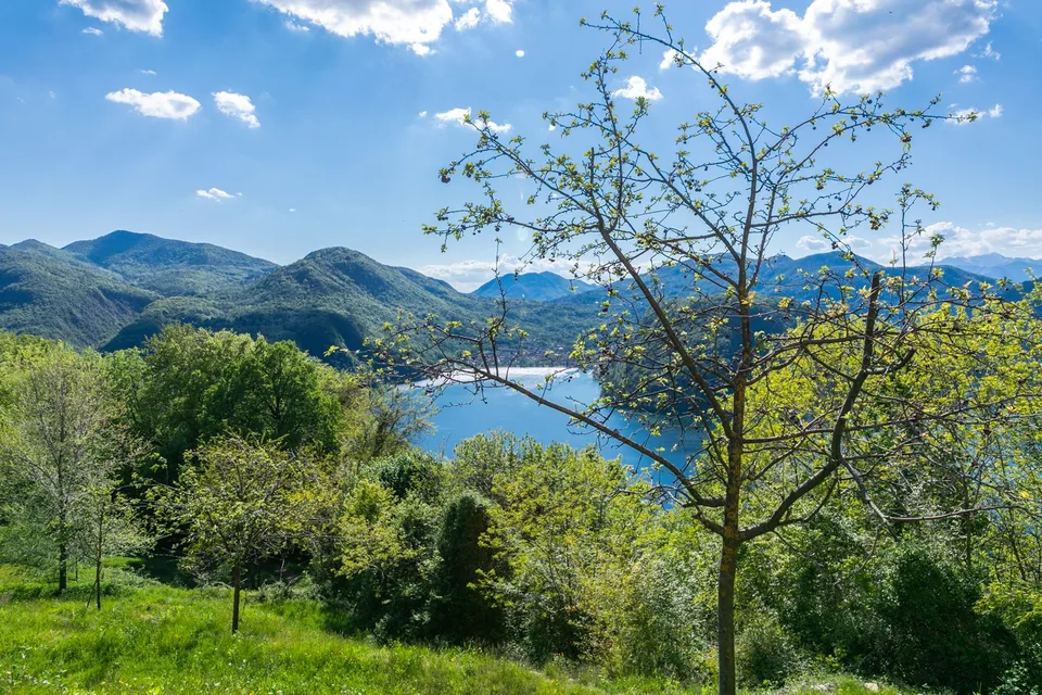 COLLINA D'ORO - AFFITTASI INCANTEVOLE APPARTAMENTO CON GIARDINO PRIVATO E VISTA LAGO (rif. 001) – foto 13 di 19