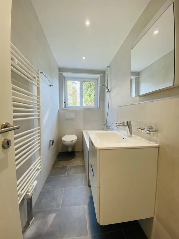 Total renovierte 2.5-Zimmer mit Balkon und Kellerabteil (1013)