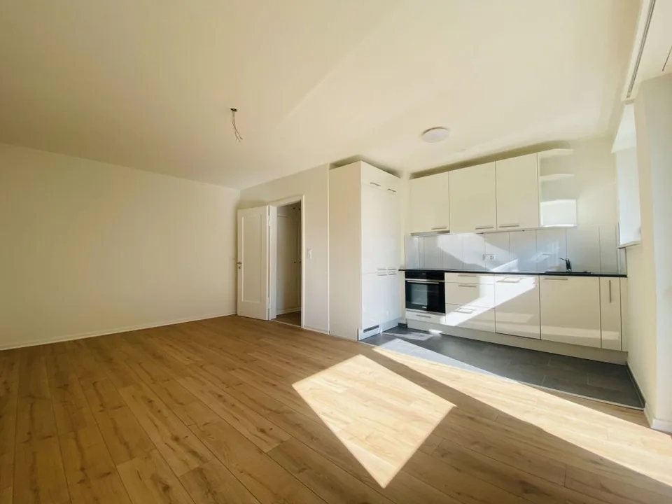 Total renovierte 2.5-Zimmer mit Balkon und Kellerabteil (1013)