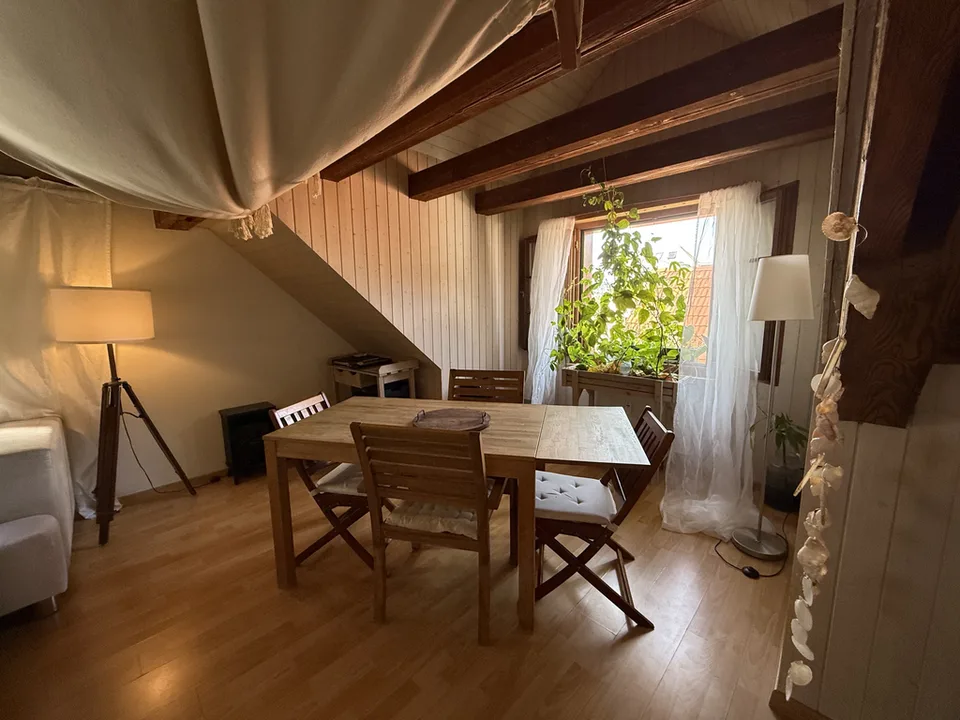 Delizioso appartamento mansardato di 3,5 locali con camino e charme di edificio antico