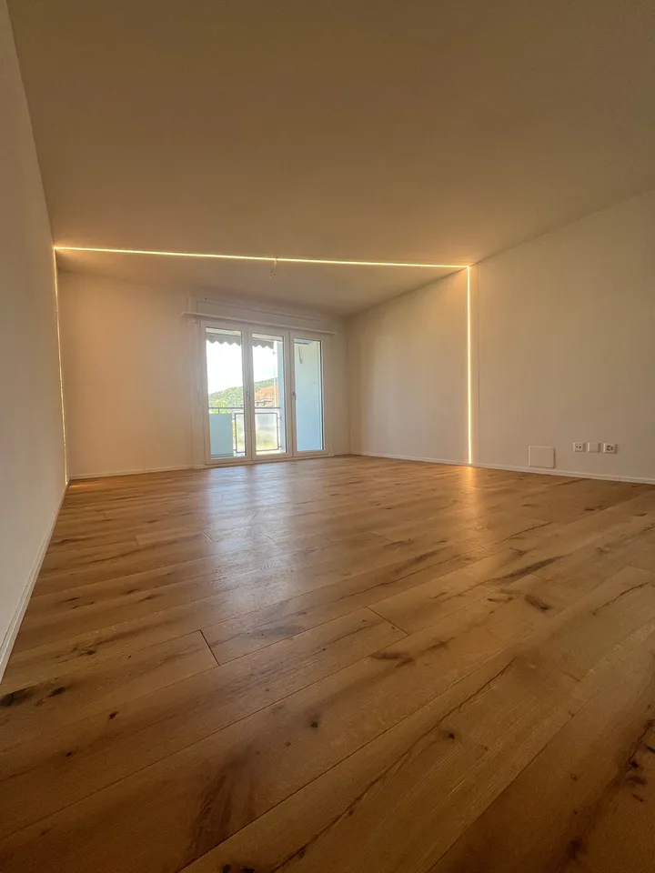 Appartamenti di 3,5 locali appena ristrutturati!