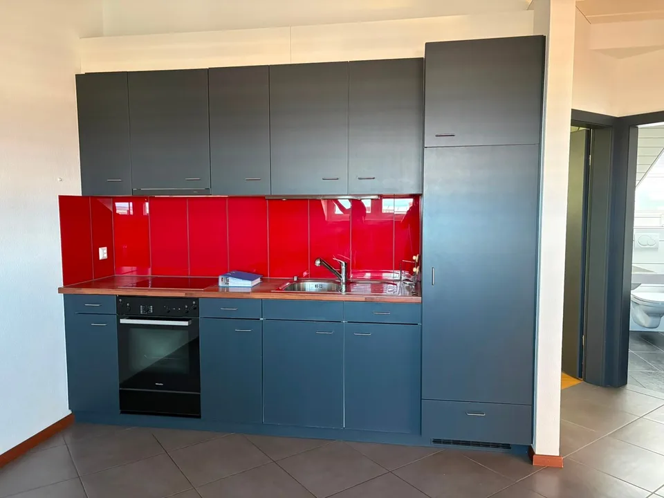 Bello appartamento di 2,5 locali