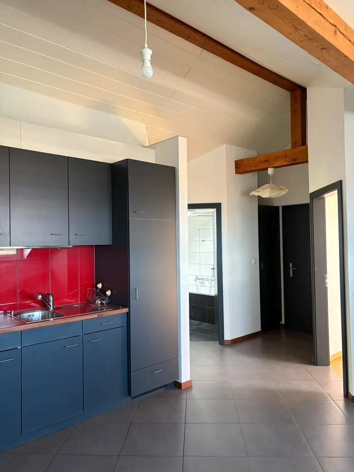 Bello appartamento di 2,5 locali
