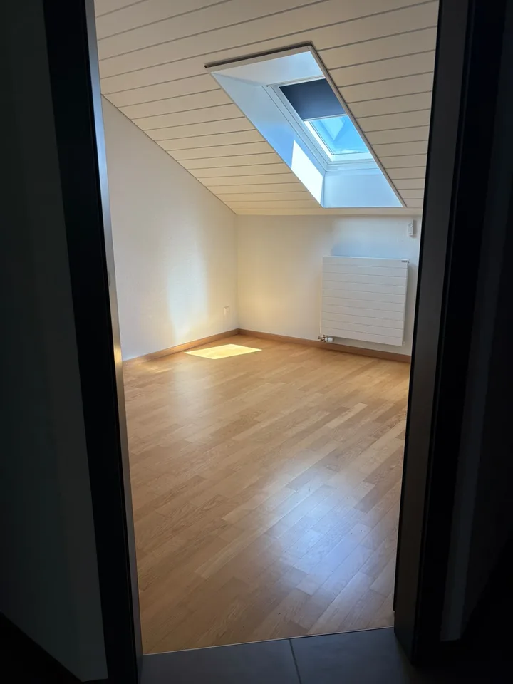 Bello appartamento di 2,5 locali