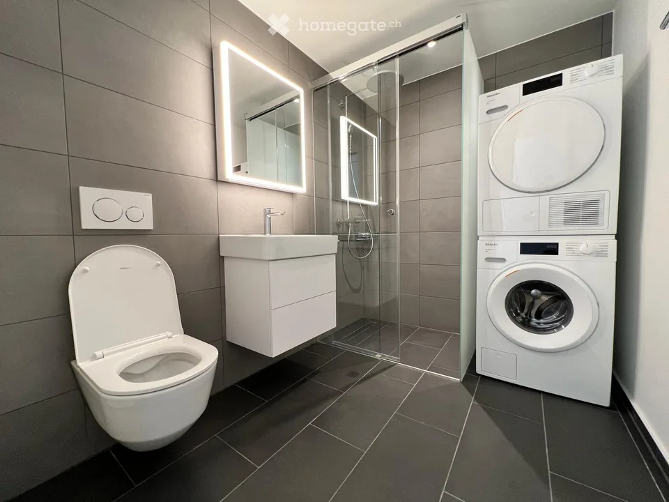 Appartamento da sogno di 3.5 locali con vista sulle cascate del Reno | CHF 2'710.– incl. spese & posto auto
