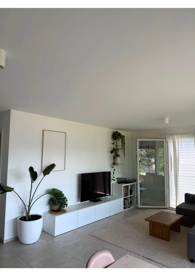 Lamone - beautiful 3.5 rooms for rent