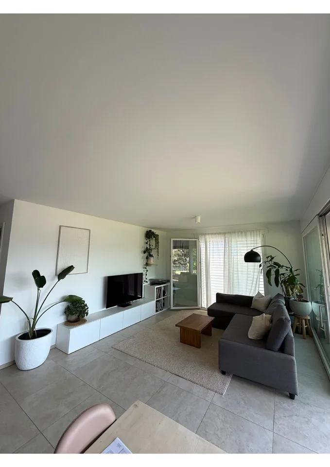 Lamone - beautiful 3.5 rooms for rent