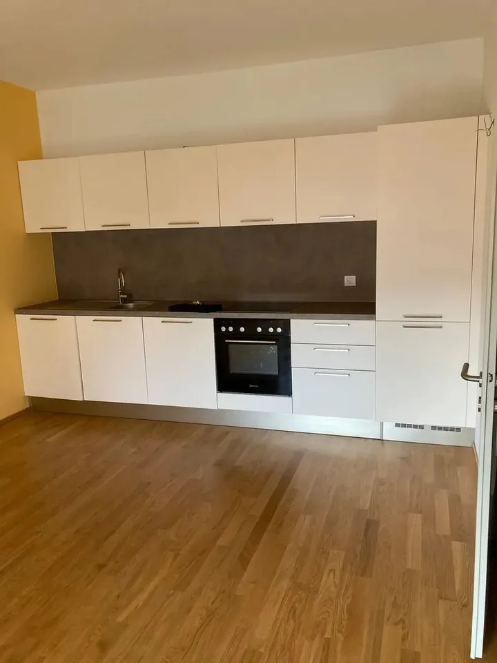 Miete von Apartment in Chiasso