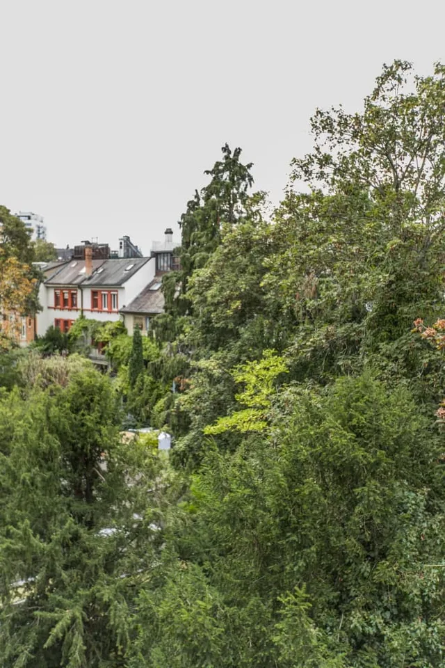 Möbliertes Studios im Zentrum von Basel / mit oder ohne Service, Lang oder Kurzzeit