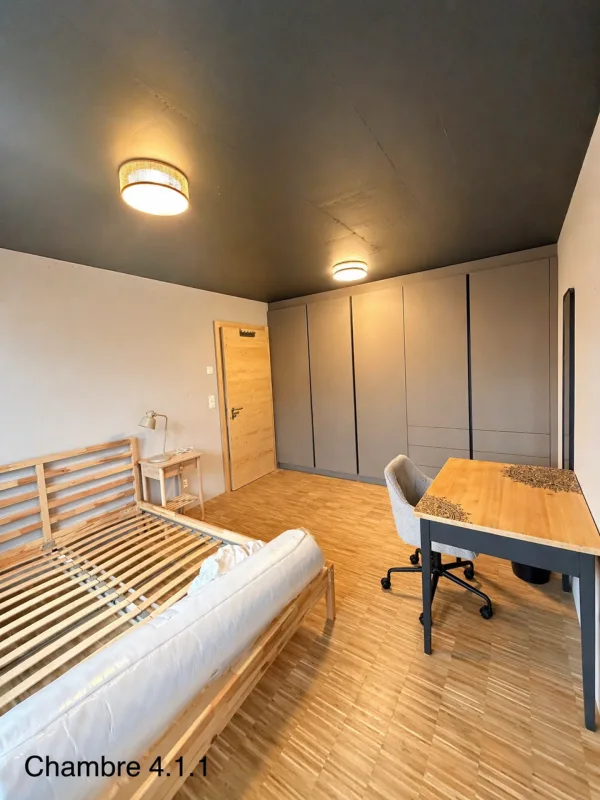 Nouvelle colocation haut de gamme - Chambres meublées avec balcon et terrasses à 2 pas de la gare de Châtel-St-Denis – photo 8 sur 16