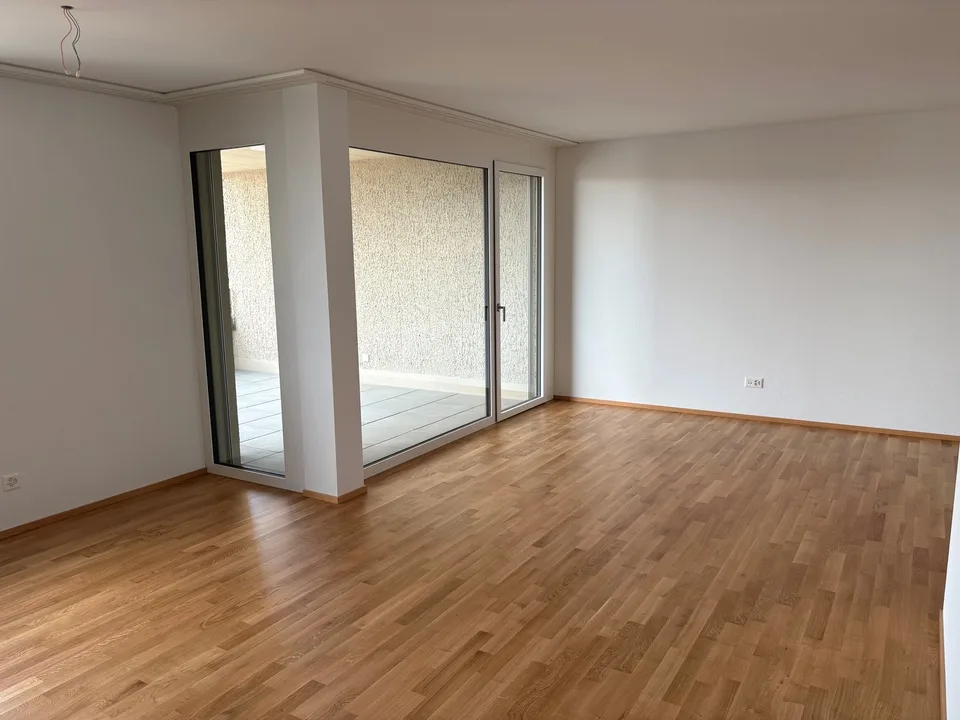 Last Chance, Modern 2.5-Room Apartments in Egnach