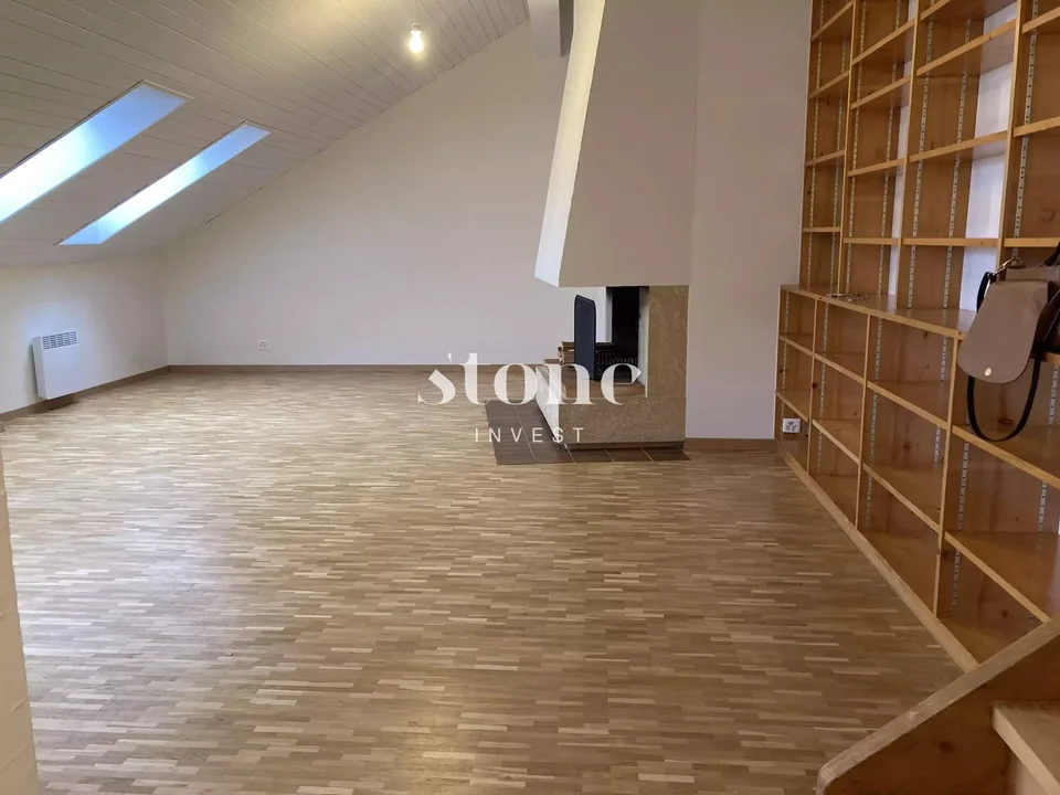 Magnifico DUPLEX al 3° piano a Carouge