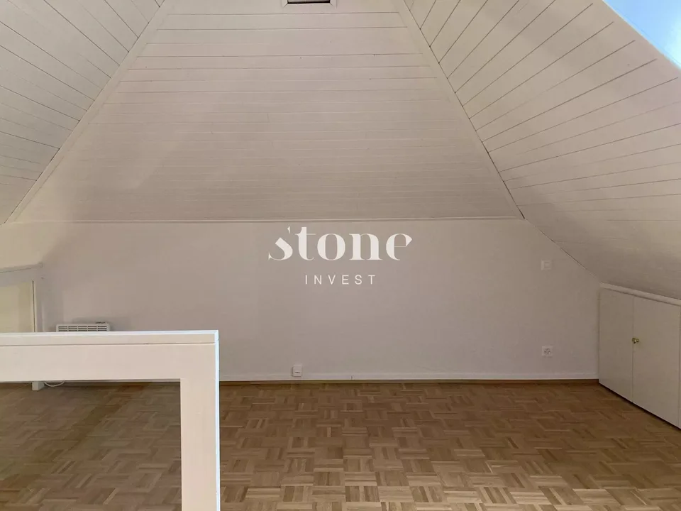 Magnifico DUPLEX al 3° piano a Carouge