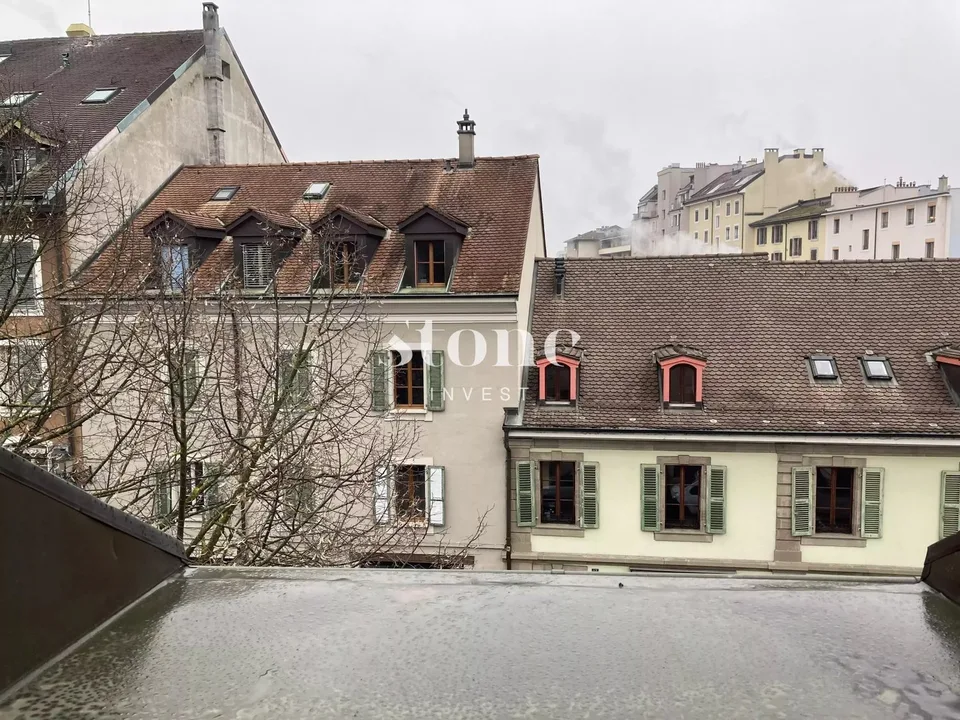 Magnifico DUPLEX al 3° piano a Carouge