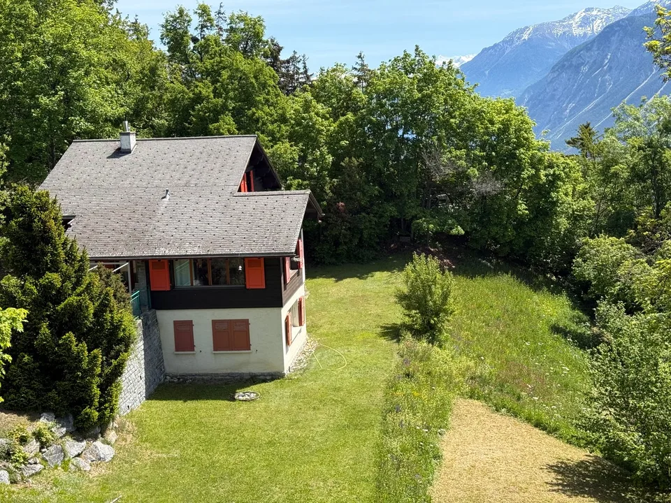 Chalet Pigwood, Blûche (Ref: 6650)