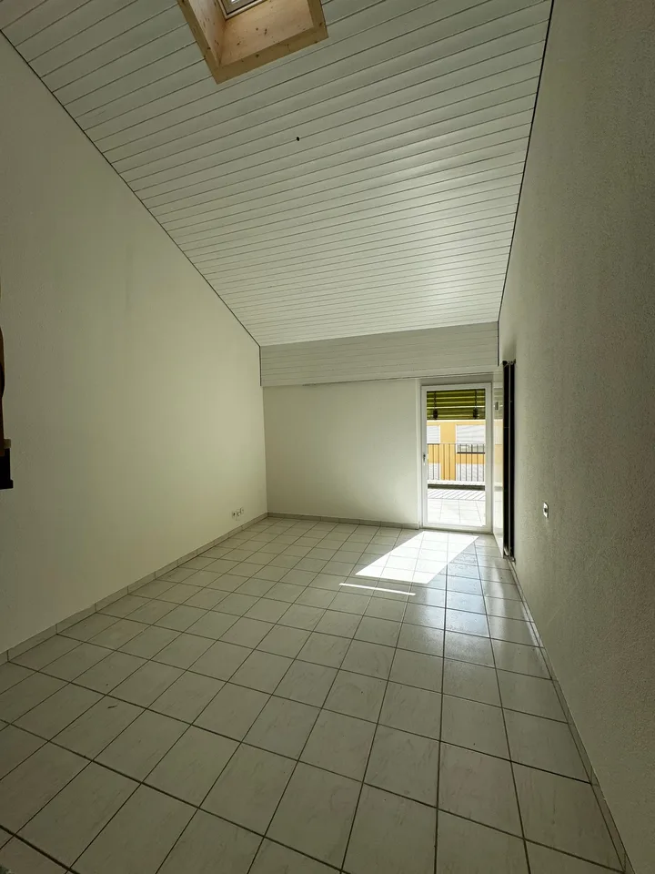 Cervo 1