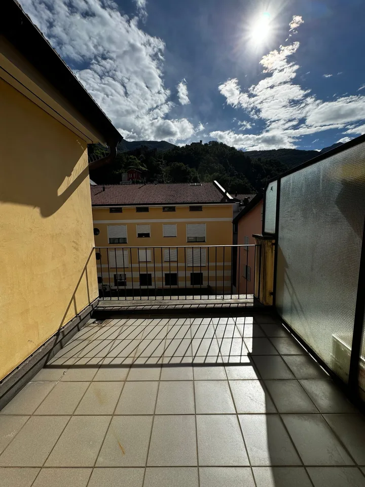 Cervo 1