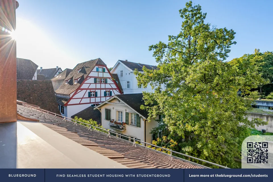 Blueground ID119, Basel-Vorstaedte