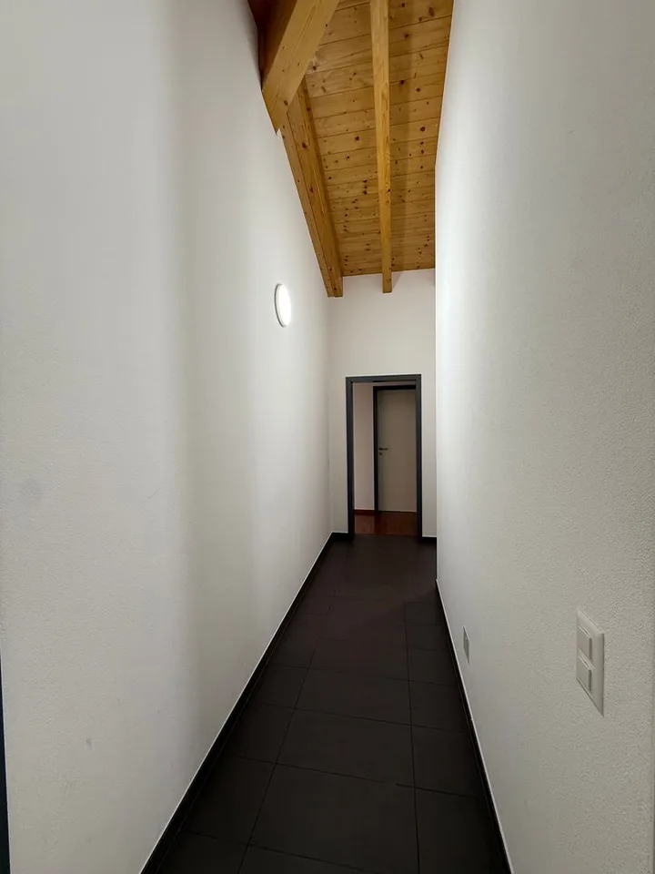 Appartamento attico 4,5 locali immerso nel verde a Cadro – foto 11 di 12