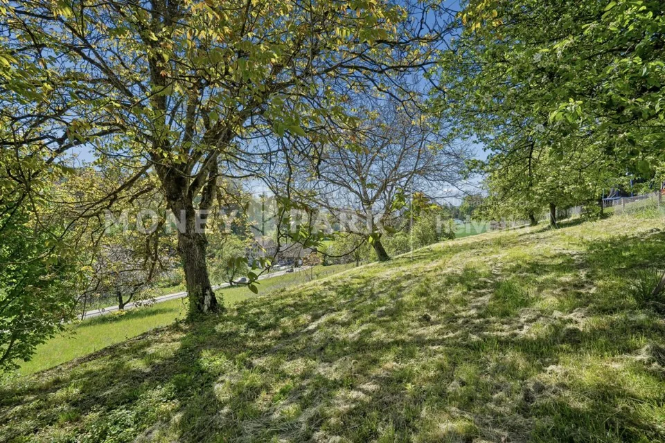 Casa unifamiliare unica di 7,5 locali con qualità di vita e grande terreno