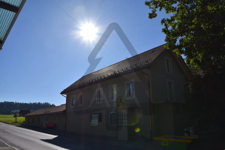 La Chaux-de-Fonds, bâtiment commercial très bien situé (loué)