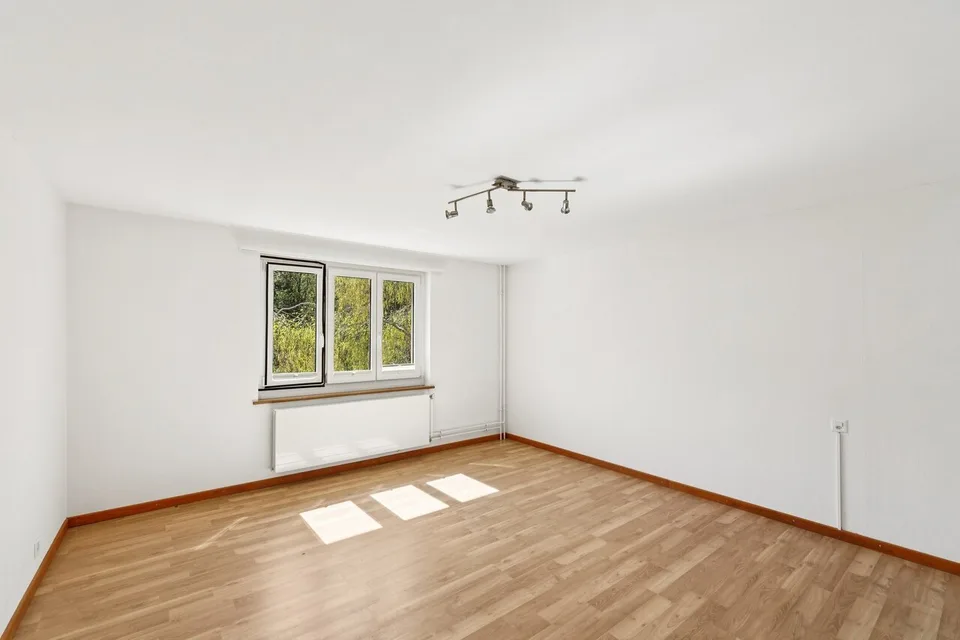 Mehrgenerationenhaus mit historischem Charme in Pratteln – Foto 10 von 13