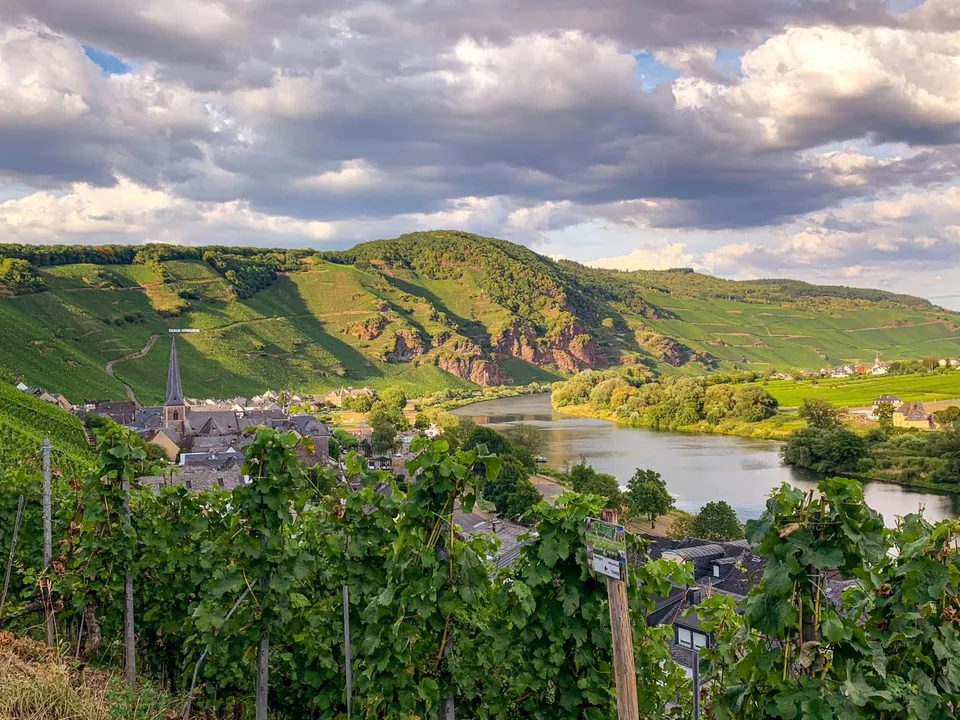 Un domaine d'exception. Une exploitation hôtelière établie.