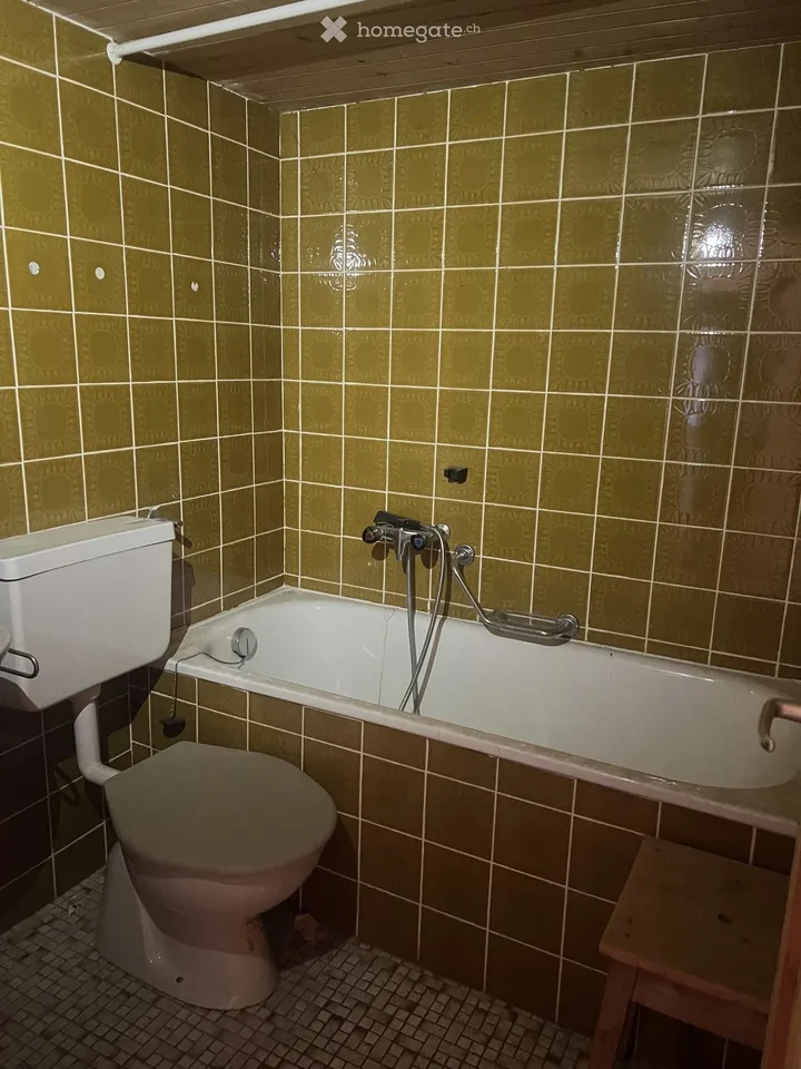2 pièces avec cuisine, salle de bains + terrasse à Albinen.