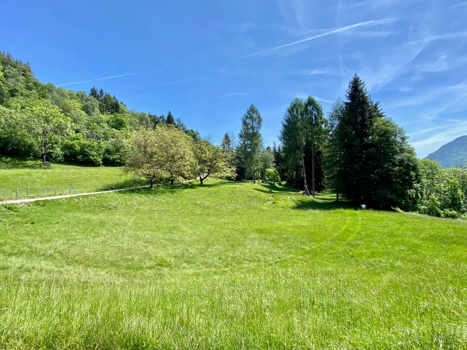 Gemütliches Einfamilienhaus in ruhiger Berglage inmitten der Natur – Foto 22 von 22