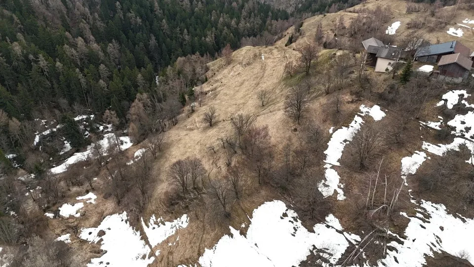 Terreni agricoli soleggiati in una posizione idilliaca