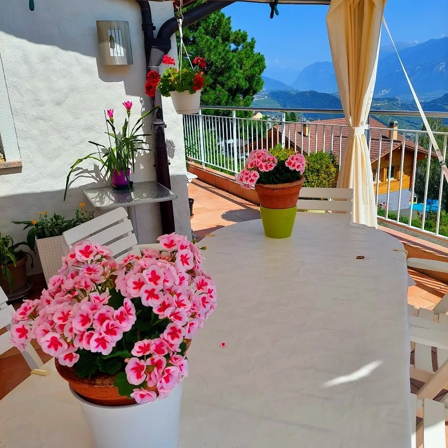 Villa magnifica con vista panoramica, offerta in Viager occupato, *SMJ Habitat*