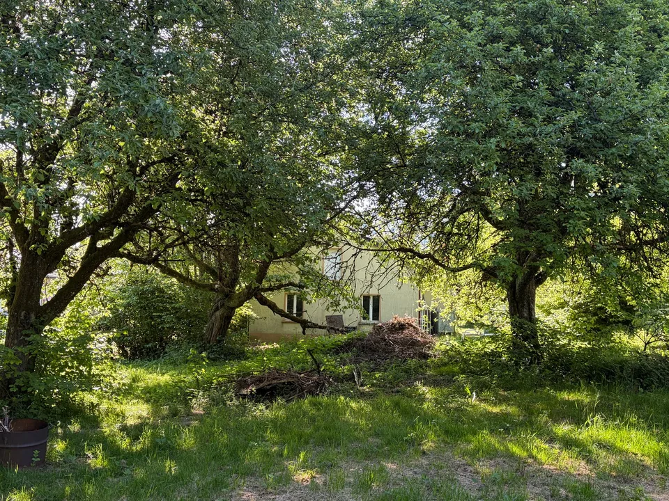 Casa unifamiliare con annesso e bosco su 2 lotti con un totale di 2.461 m2 in una posizione tranquilla
