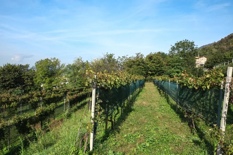 Schöne Grundstücke in bevorzugter Lage