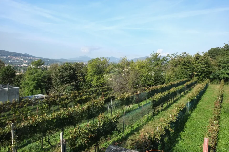 Schöne Grundstücke in bevorzugter Lage